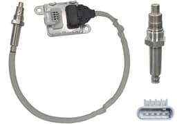 FNX053-5796802.jpg