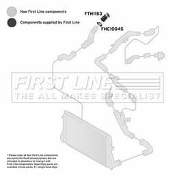 FTH1153_1093842.JPG