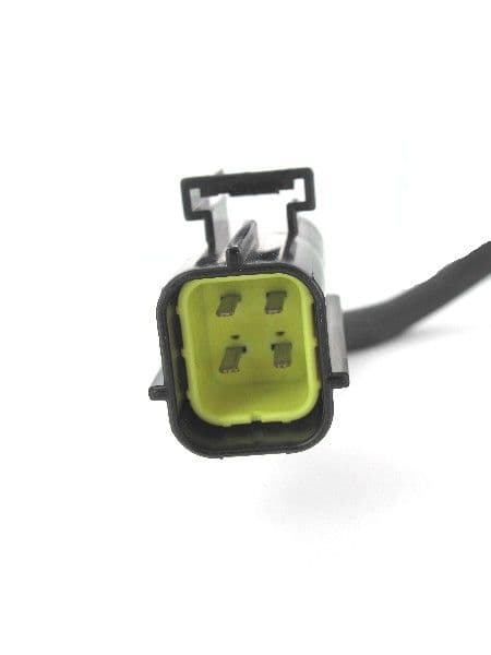LB1013.jpg