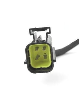 LB1013.jpg