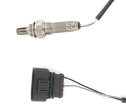 LB1224-974715.jpg