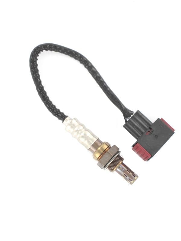 LB1287.jpg