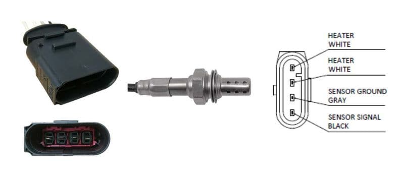 LB1445-4994676.jpg
