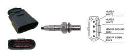 LB1445-4994676.jpg