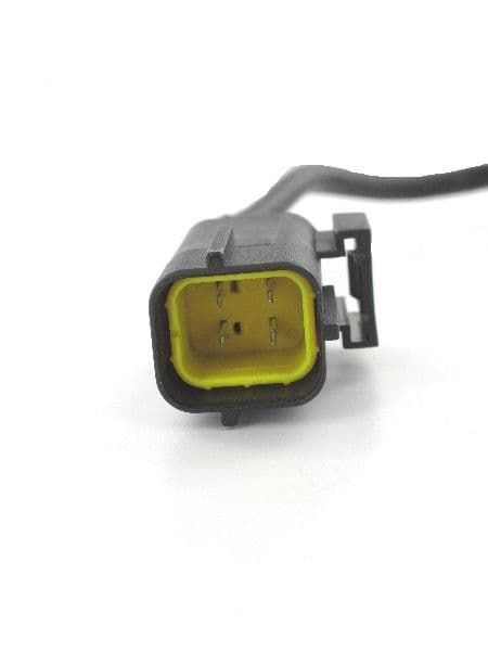 LB1703 (1).jpg