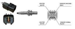LB2477-4999943.jpg