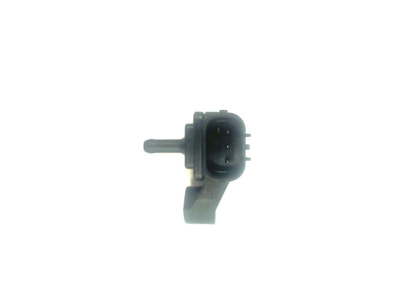 MS210-5459932.jpg