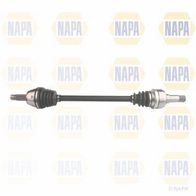 NDS1244LR.JPG