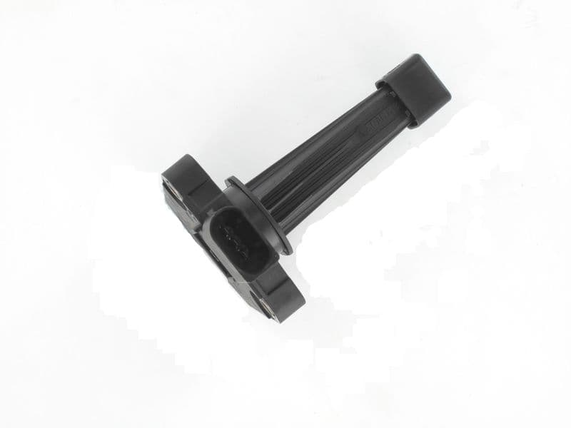 OLV004-976061.jpg