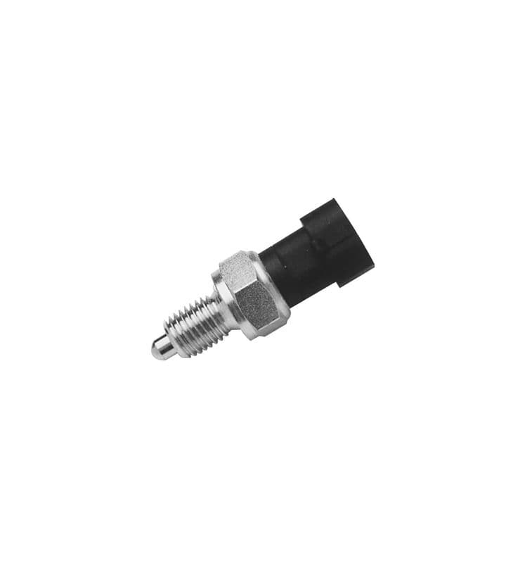 RLS5066-973155.jpg