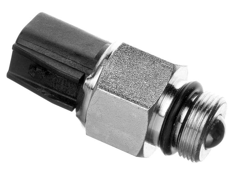 RLS5119-973231.jpg