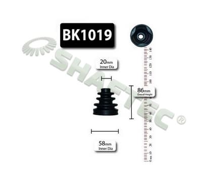 SCBK1019.jpg