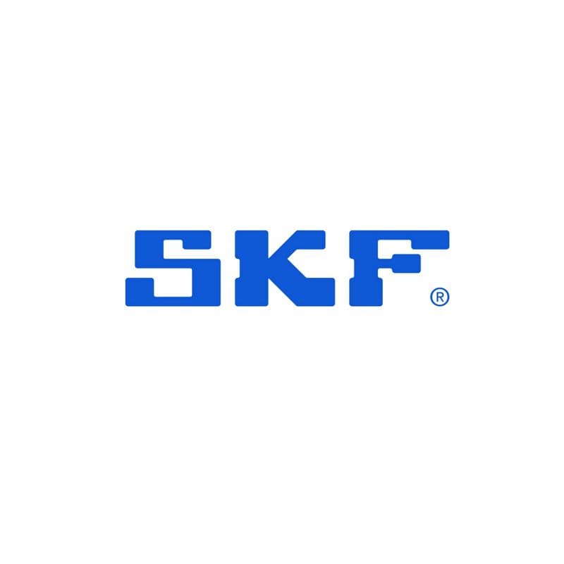 SKF.jpg