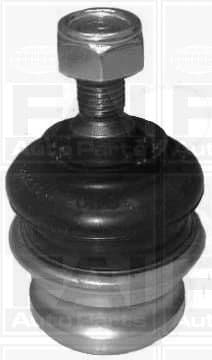 SS777-1667062.JPG