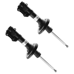 ShockAbsorberPair.jpg
