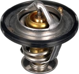 TH56189G1-1_ANG_A.JPG