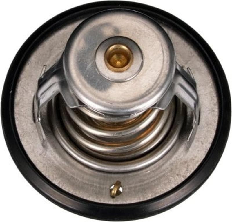 TH56189G1-3_BOT_A.JPG