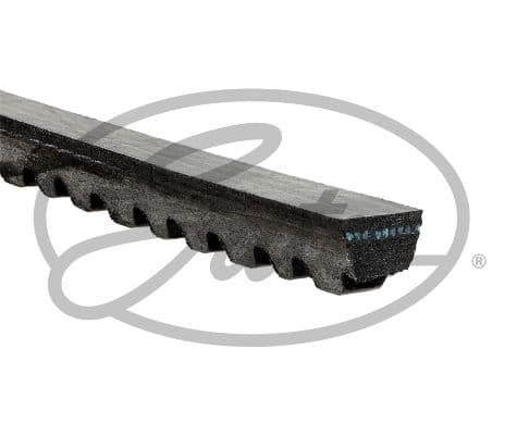 V10X-2_ANG_R.JPG