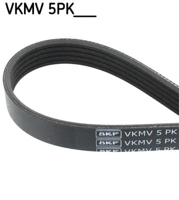 VKMV5PK491.jpg