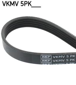 VKMV5PK491.jpg
