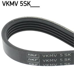 VKMV5SK595.jpg