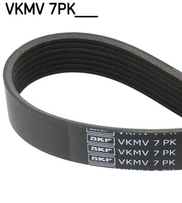 VKMV7PK1605.jpg
