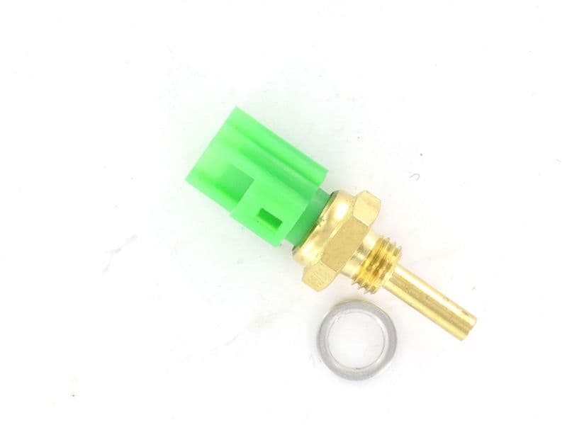WS1035-1756870.jpg