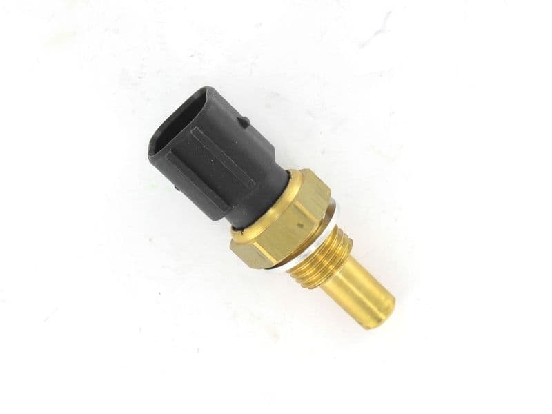 WS1172-1756997.jpg