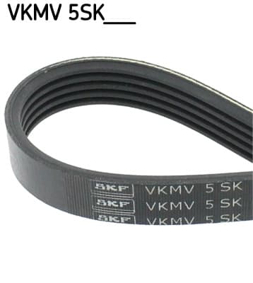 VKMV5SK595.jpg